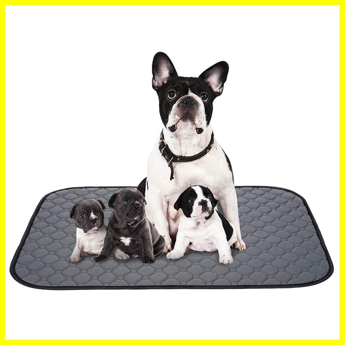 激レア! ZOOM WEC ロング スティック ベイト