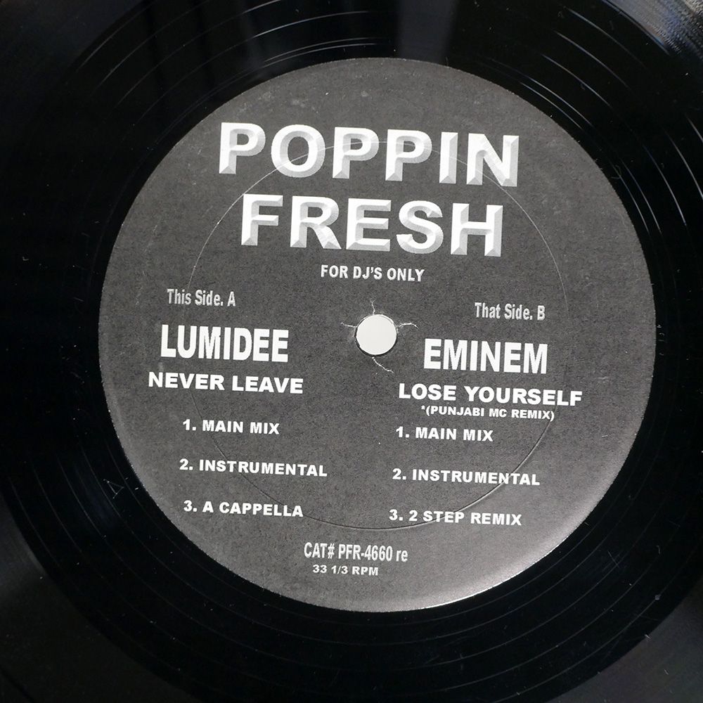 LUMIDEE/NEVER LEAVE / LOSE YOURSELF (PUNJABI MC REMIX