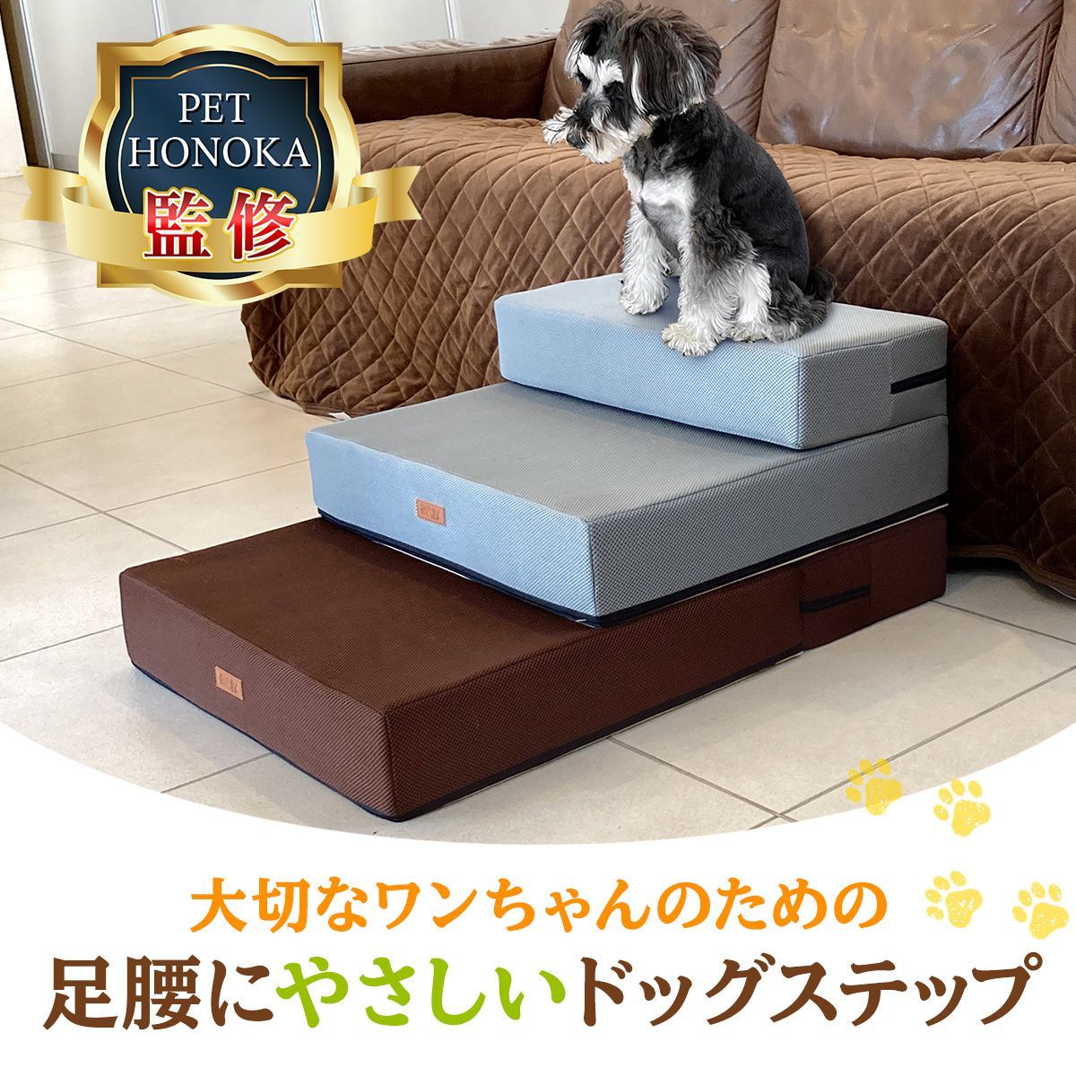 犬 階段