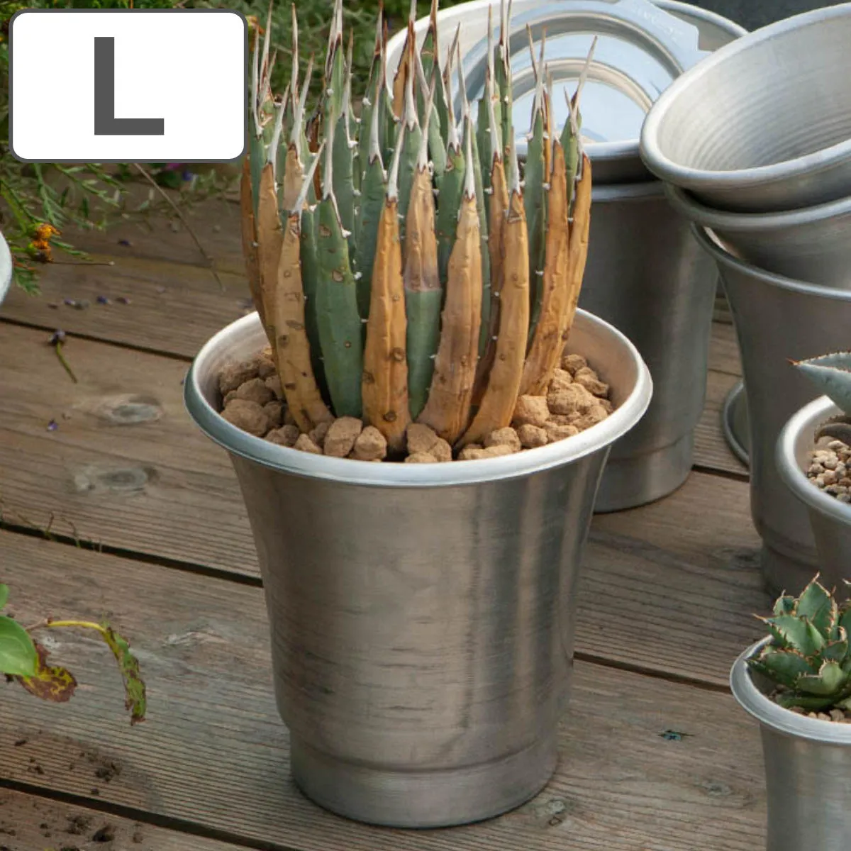 2025年最新】ドラム缶 プランターの人気アイテム - メルカリ