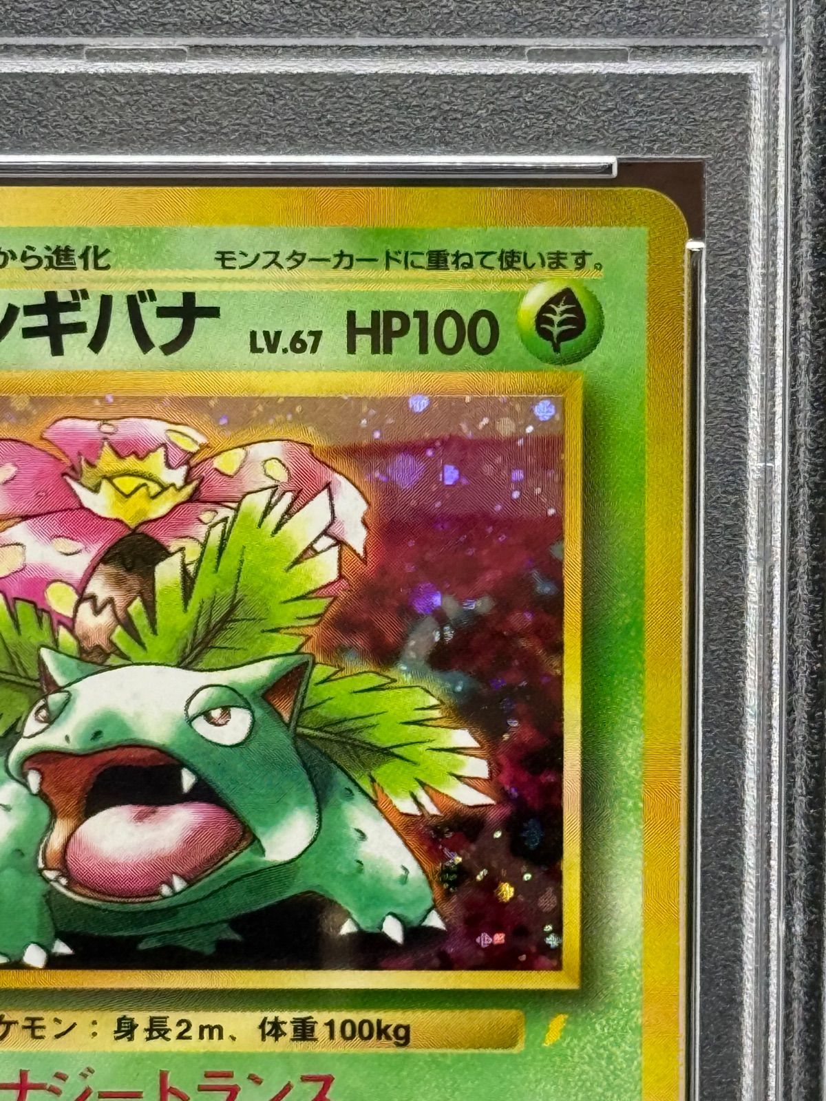 旧裏 PSA7