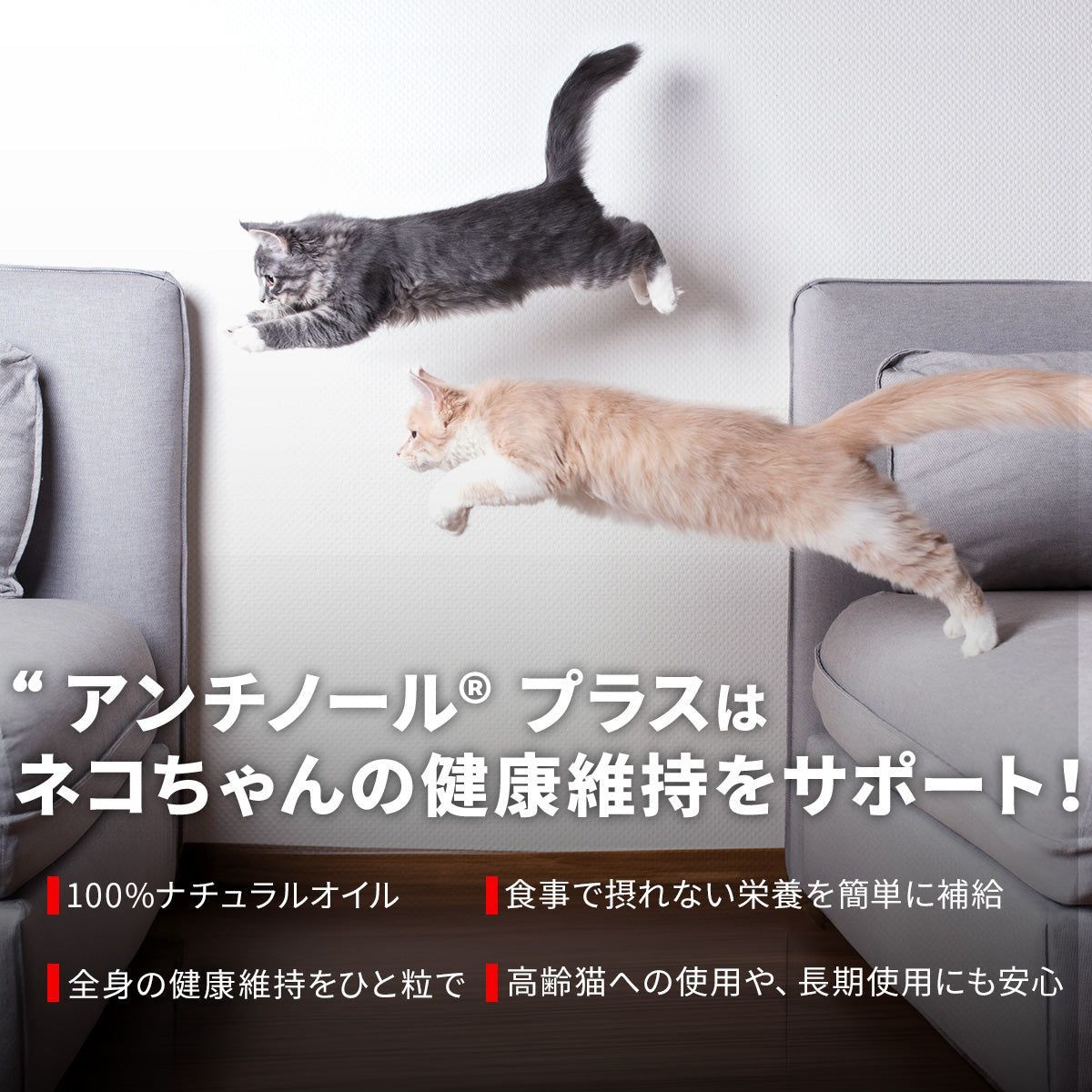 PetZ アンチノールプラス