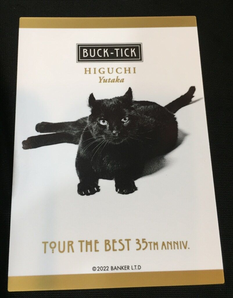 新品未開封 35thアニバーサリー BUCK-TICK 樋口豊 シリアスベアー BUCK-TICK シリアスベアーシュシュ 樋口豊 今井寿 FISH TANK