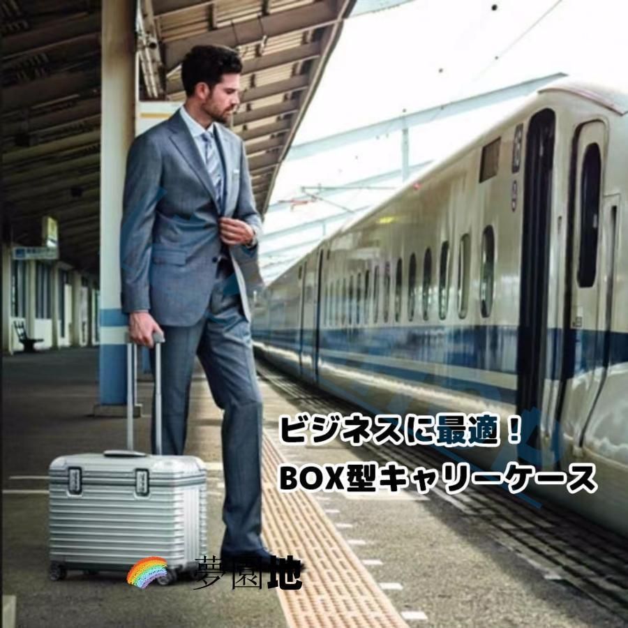 機内持ち込み 小