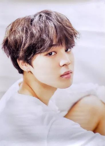 BTS 【中古】ポスター A2ポスター ジミン(BTS/防弾少年団) 「CD 花様