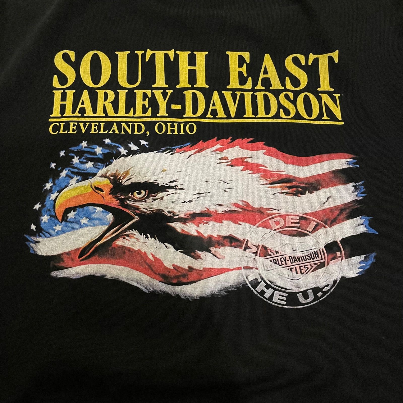 Harley Davidson 鷹 ファイヤーパターン Tシャツ Harley-Davidson 