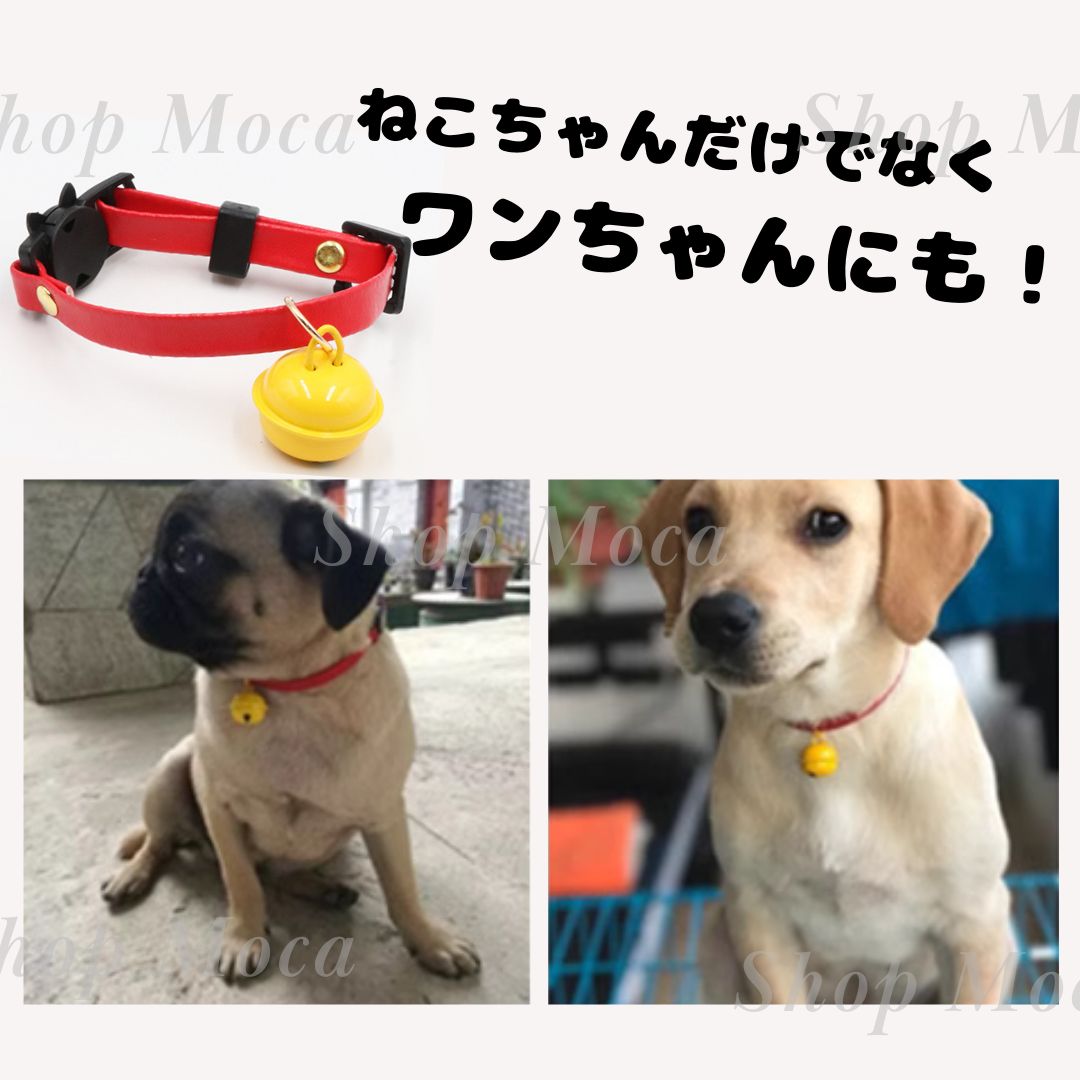 ハロウィン(ブラック)わんちゃん猫ちゃん用襟つき首輪 凄まじく
