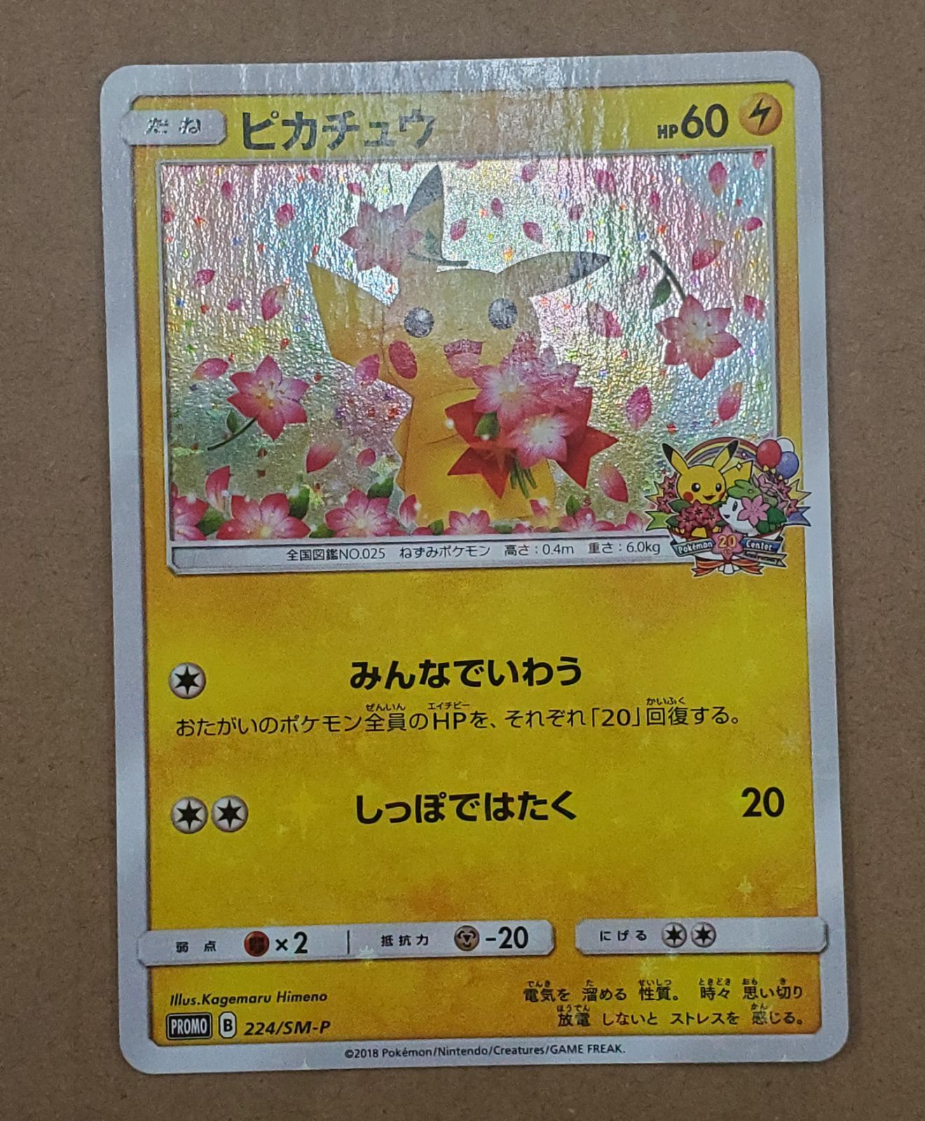 [美品]みんなでいわうピカチュウ　プロモ　224/SM-P ピカチュウ: プロモ[SM-P 224](プロモーションカード「SM-P」)の