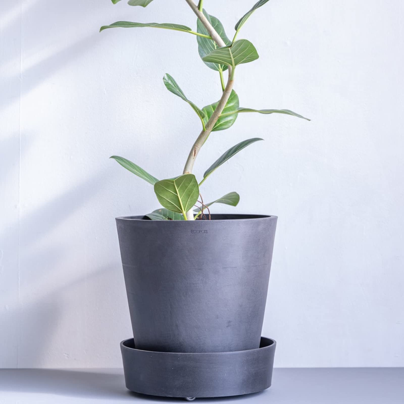 青緑色の陶器鉢 多肉植物*10 青緑色の陶器鉢 多肉植物*10 陶器鉢 植木鉢 ミニポット 底穴あり