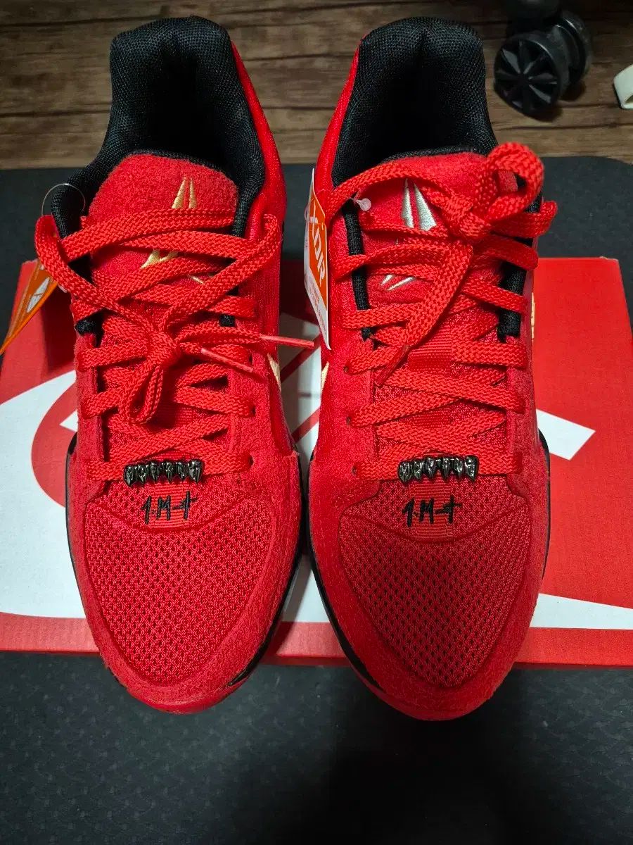 255 NIKE(ナイキ) 今すぐ 2 JA2 EP ナイトメア 新品 バスケットシューズ