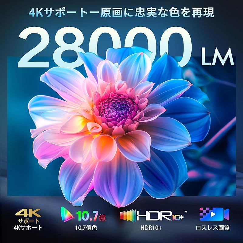 真1080P 家庭用
