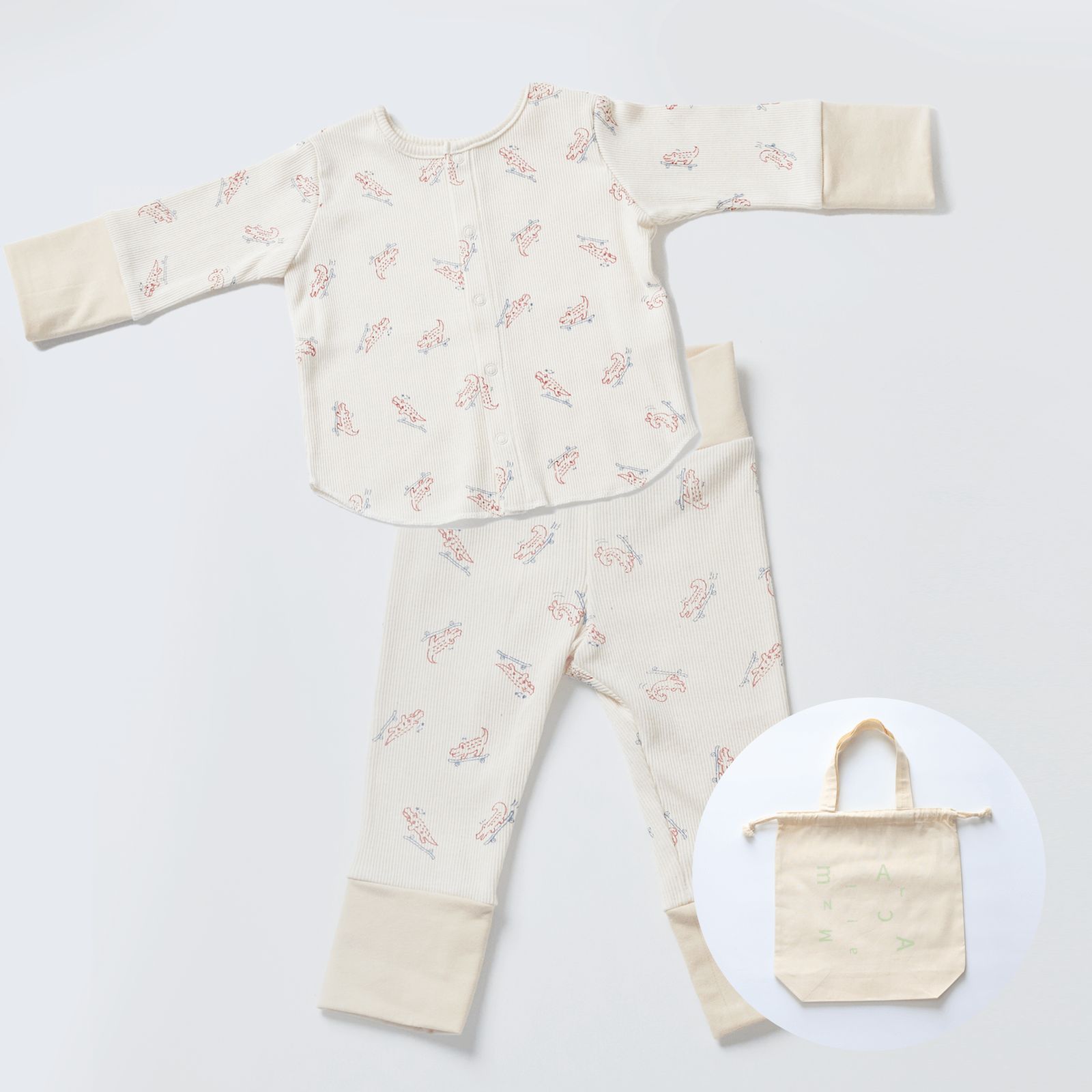 Set up - bag alligator