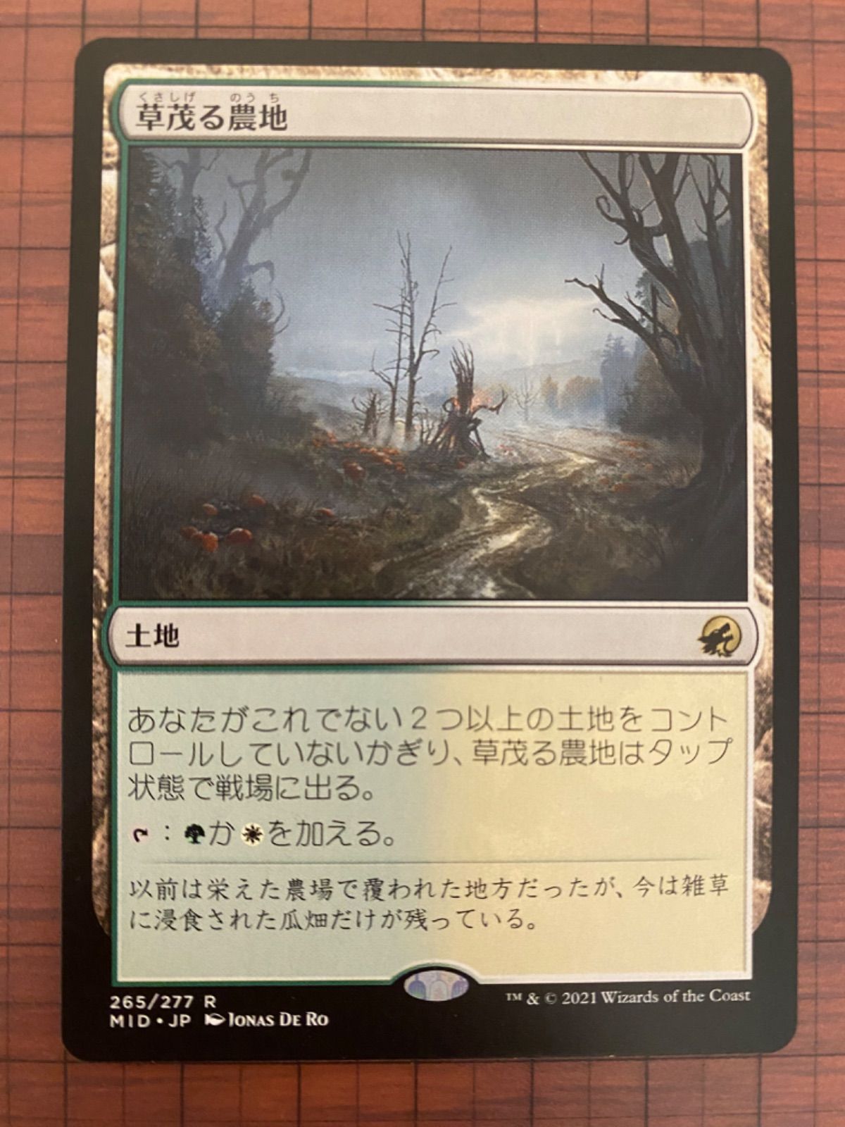 Mtg シングル: 草茂る農地 イニストラード:真夜中の狩り - メルカリ