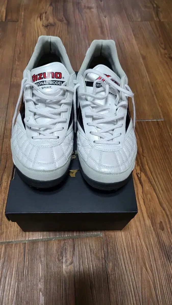 ミズノ モレリア サラ ジャパン tf モレリアサラジャパン LLC-HASEGAWATOSO_COM