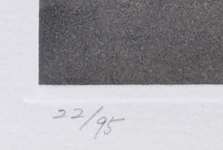 真作】【直筆サイン】加山又造「ガウンの裸婦 84-②」【銅版画】【美品