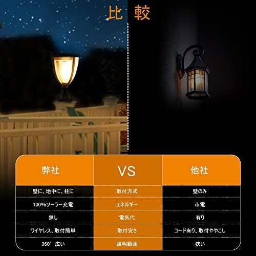 ソーラーライト 屋外 100自然エネルギー 2個セット 照明 ソーラー