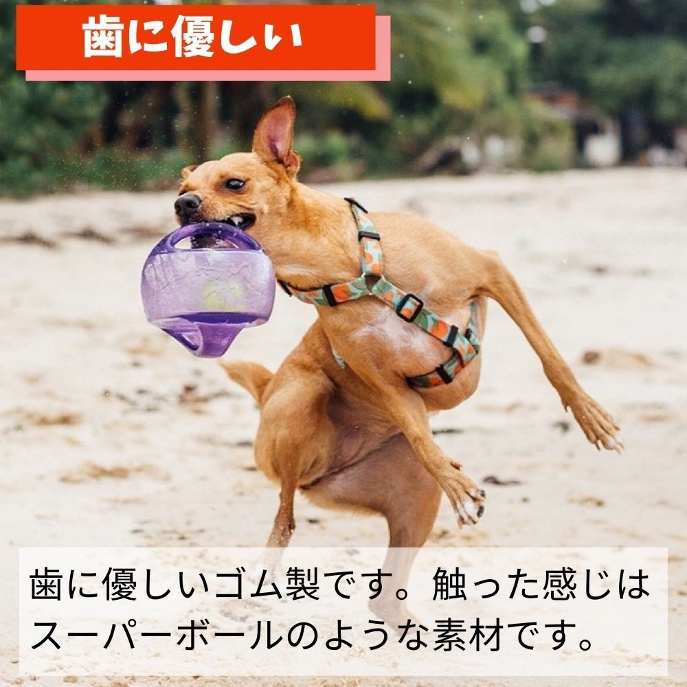 コング 大型 犬 おもちゃ コング Lサイズ 大型犬用 1個入 4個セット