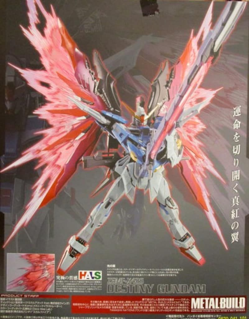 デスティニーガンダム フルパッケージ
