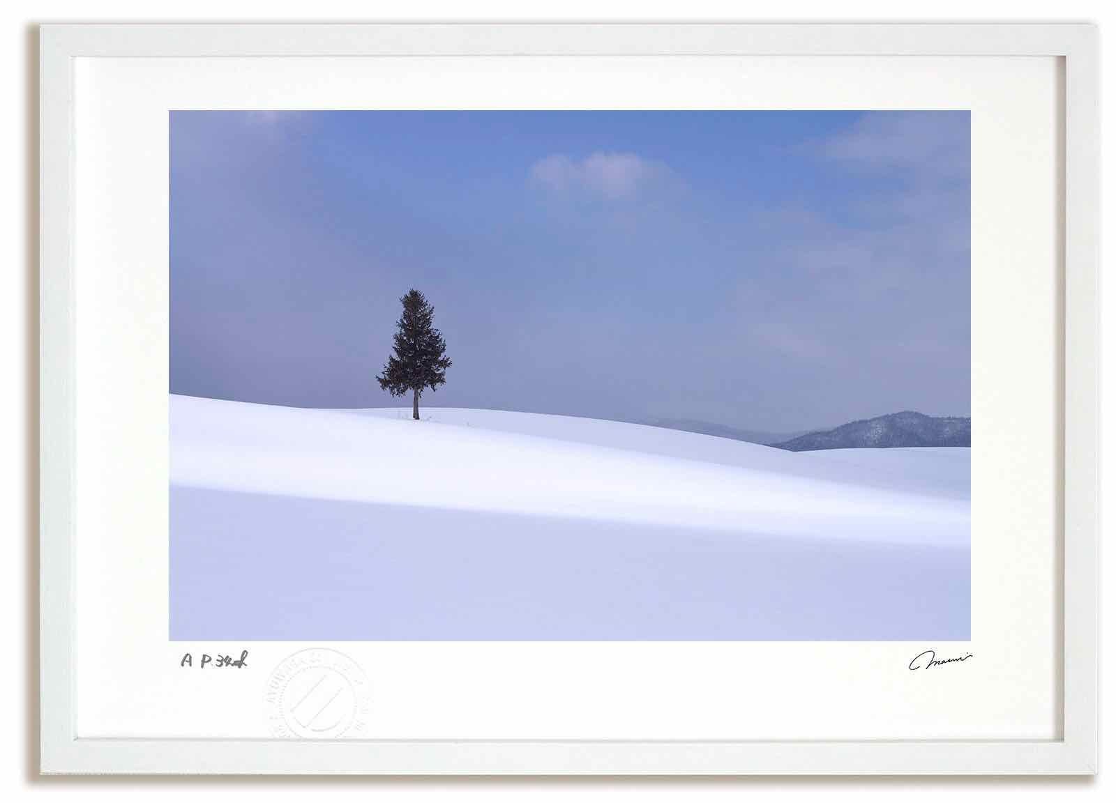 アートフォト 絵画 寸光の丘8 高橋真澄|インテリア 額入り 額装込 風景画 油絵 ポスター アート アートパネル リビング 玄関 プレゼント モダン アートフレーム 飾る Mサイズ おしゃれ 壁掛け 絵