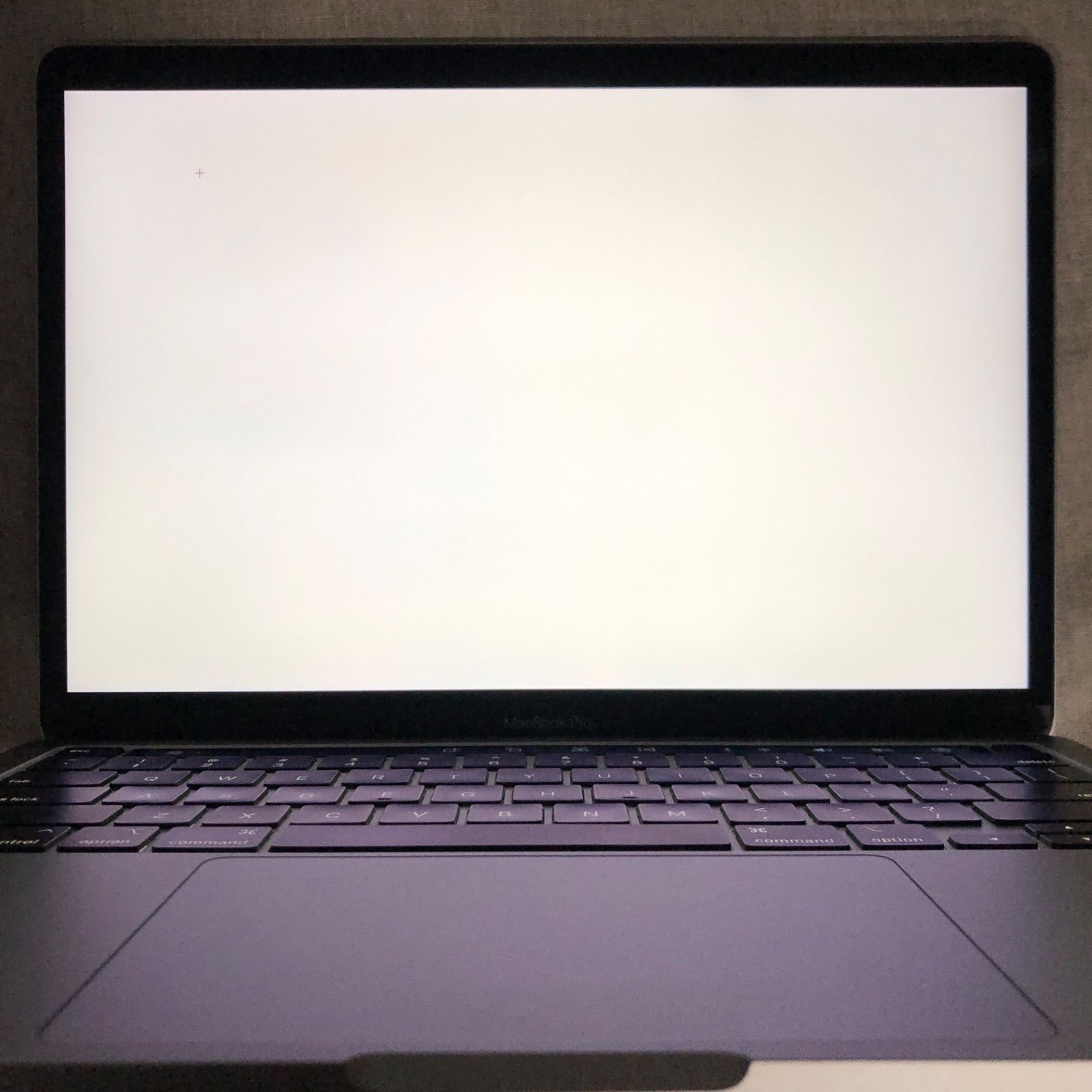 本体のみ】Apple MacBook Pro (13インチ, M1, 2020)【16GB・SSD512GB 