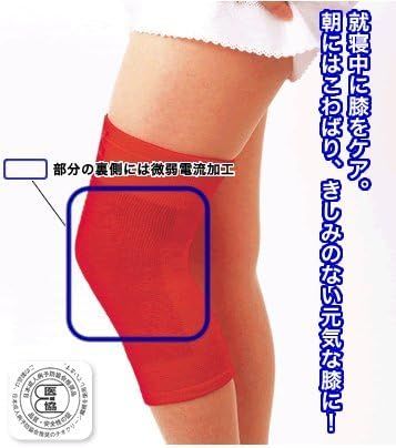 Amazonから発送 星虎の赤ひざ先生 2枚組 Lサイズ 35〜46cm