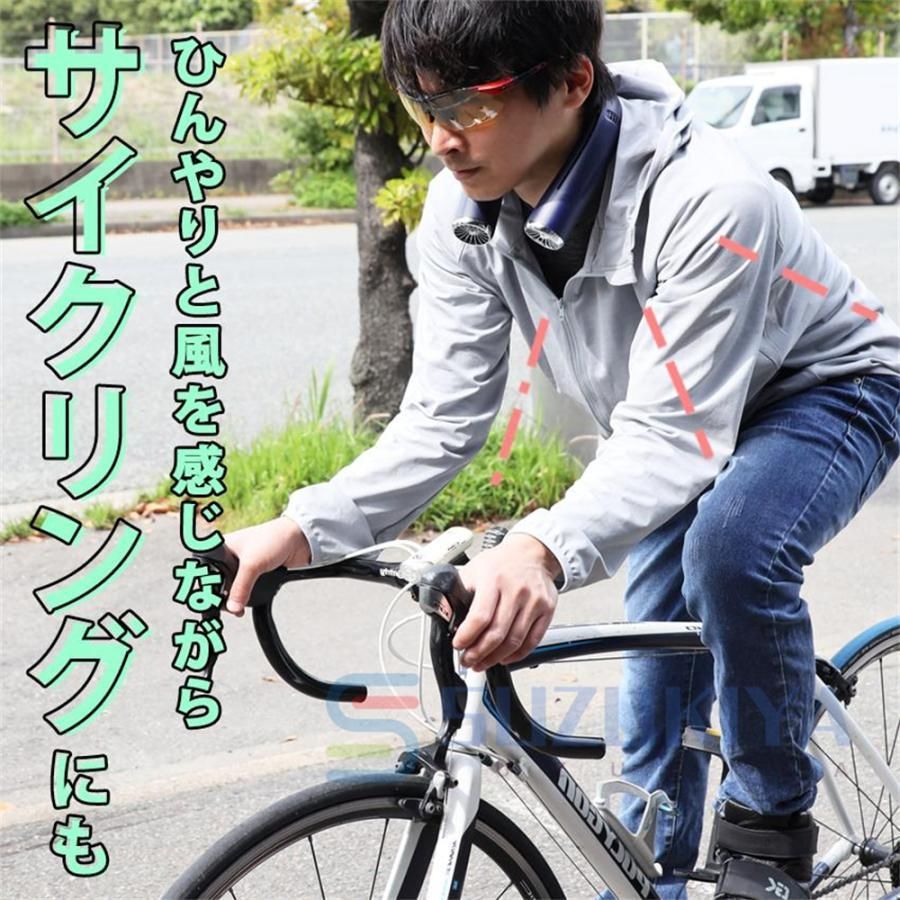 羽なし 小型