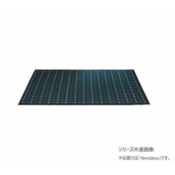 掛川マット十和田 掛川織 い草玄関マット 70x120cm ブラック TSN341242