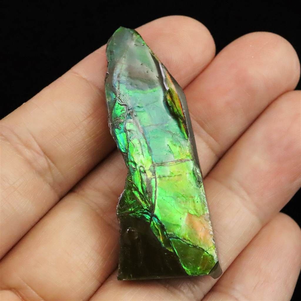 アンモライト アンモナイト化石 スライス 原石 8.6g 【榎本通商36383