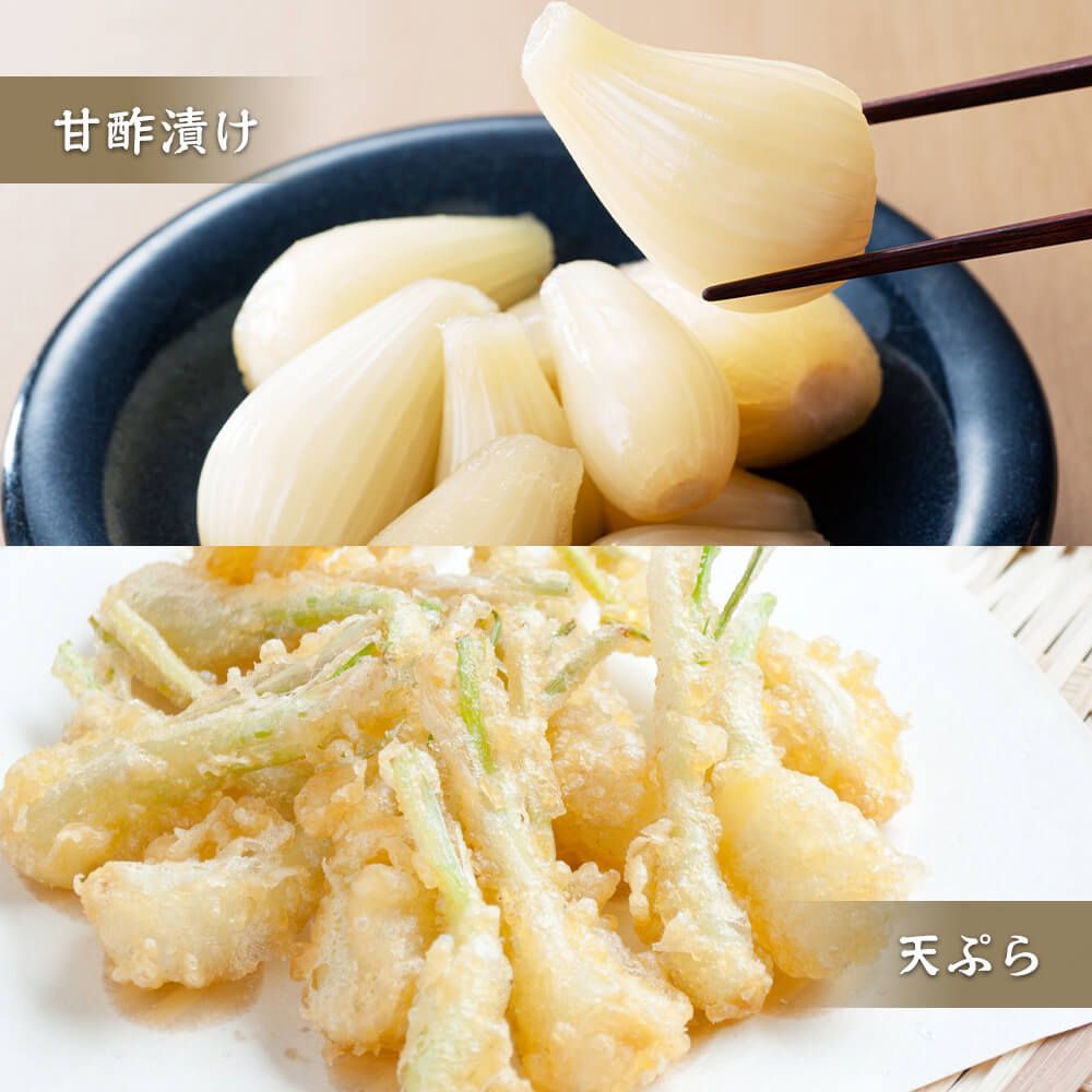 SML混在