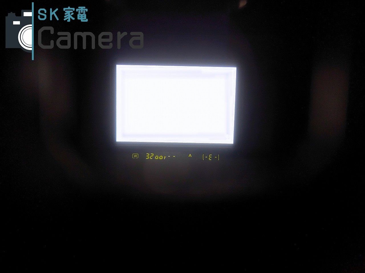 Nikon D1