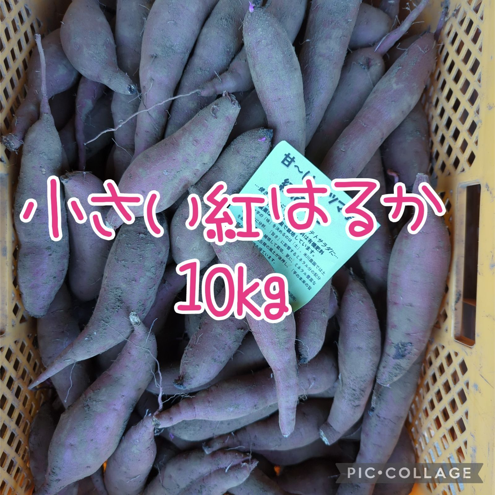 小さい紅はるか10kg 【18％OFF】 - 野菜