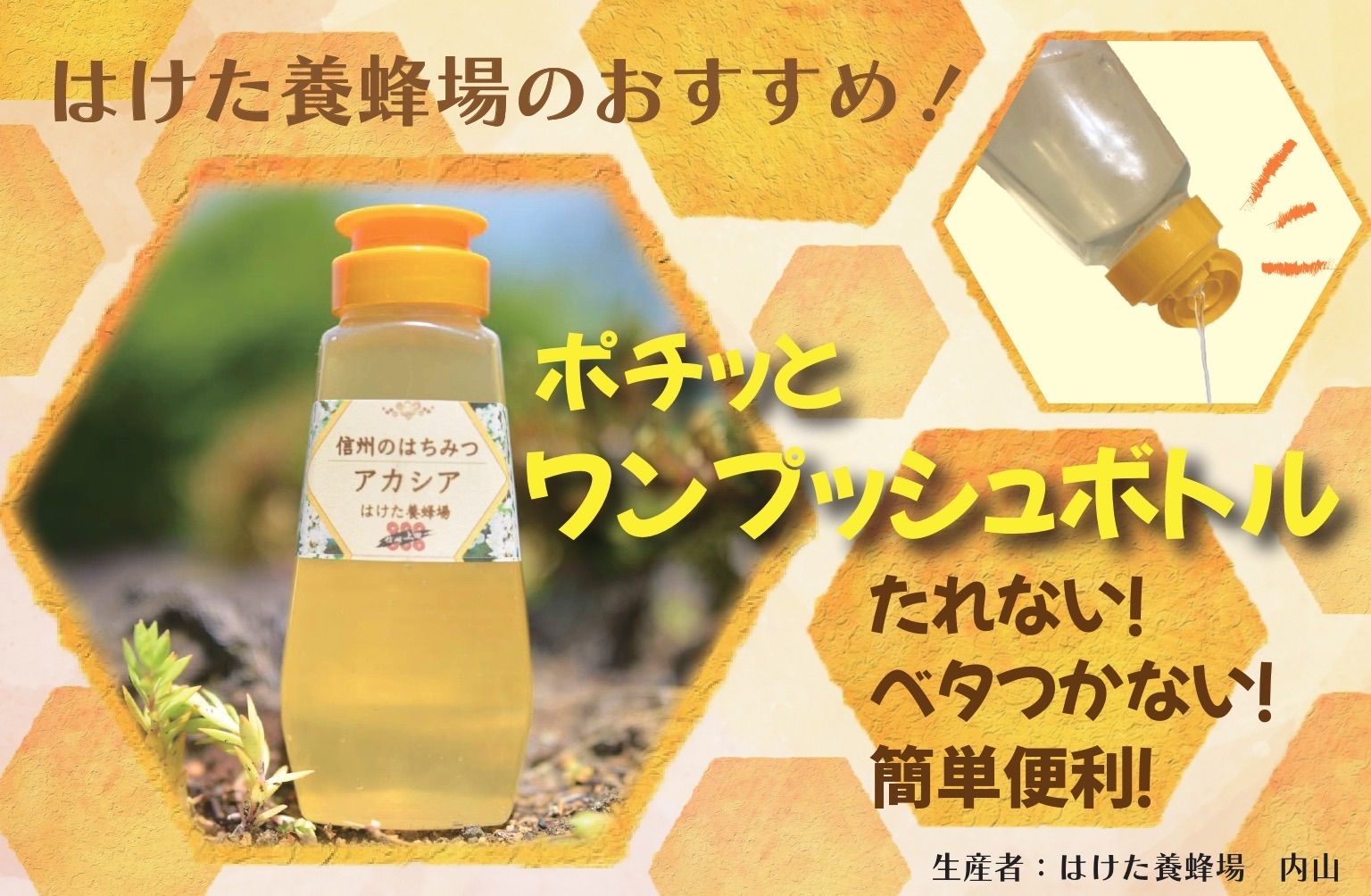 国産生はちみつ アカシアワンプッシュボトル