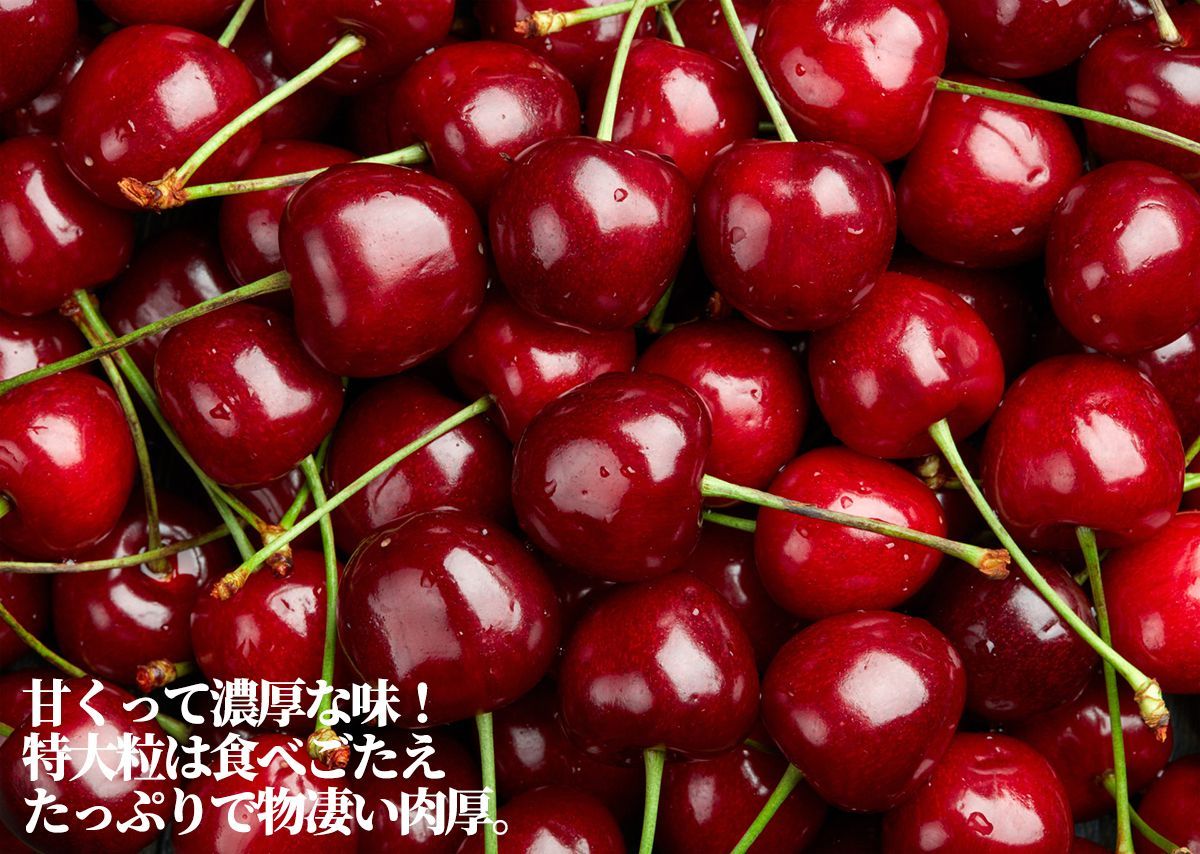 予約5月下旬