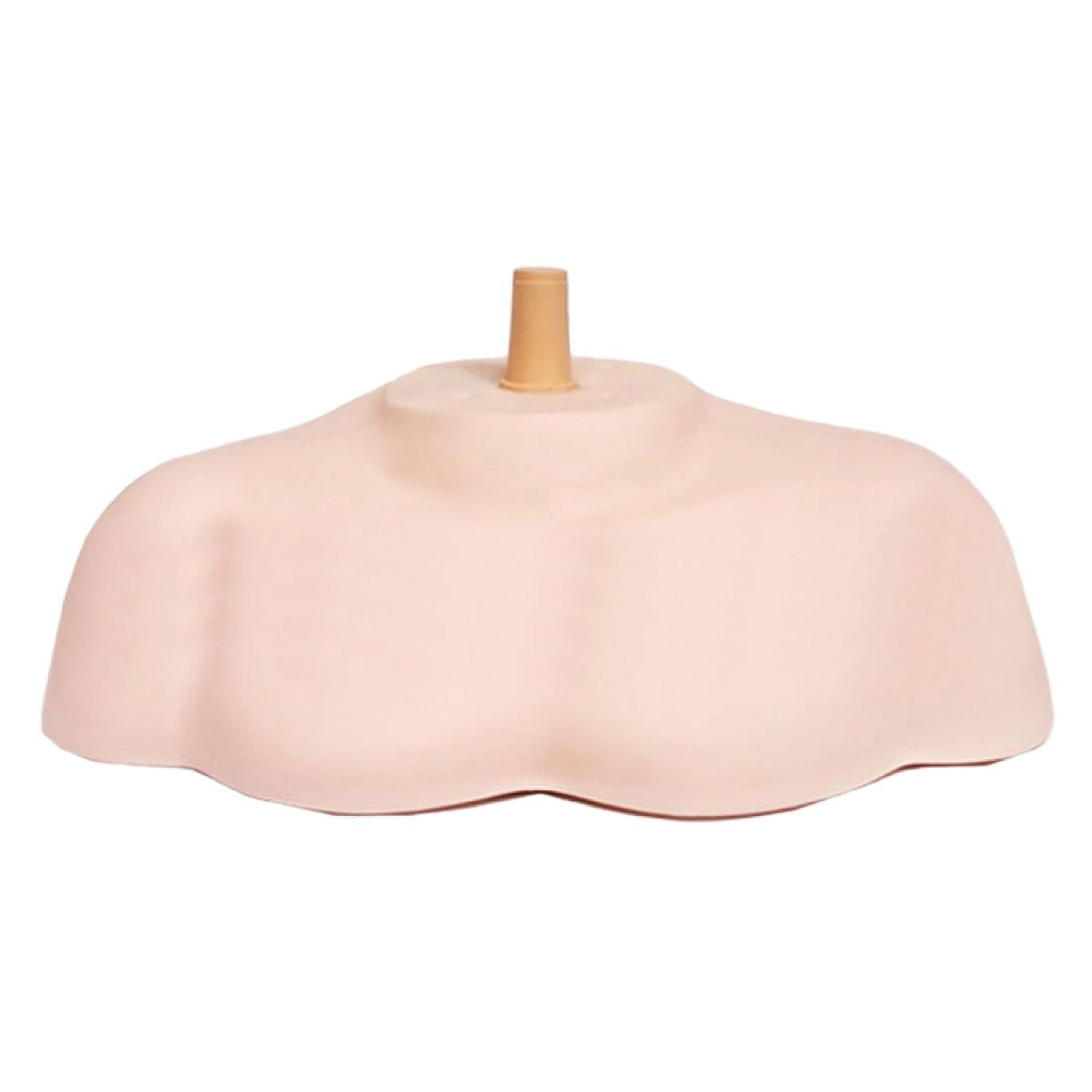 ☆ぬ ドナウ川 川と生活シリーズ8 / 帝国書院ジュニア地理 人文 ☆ぬ