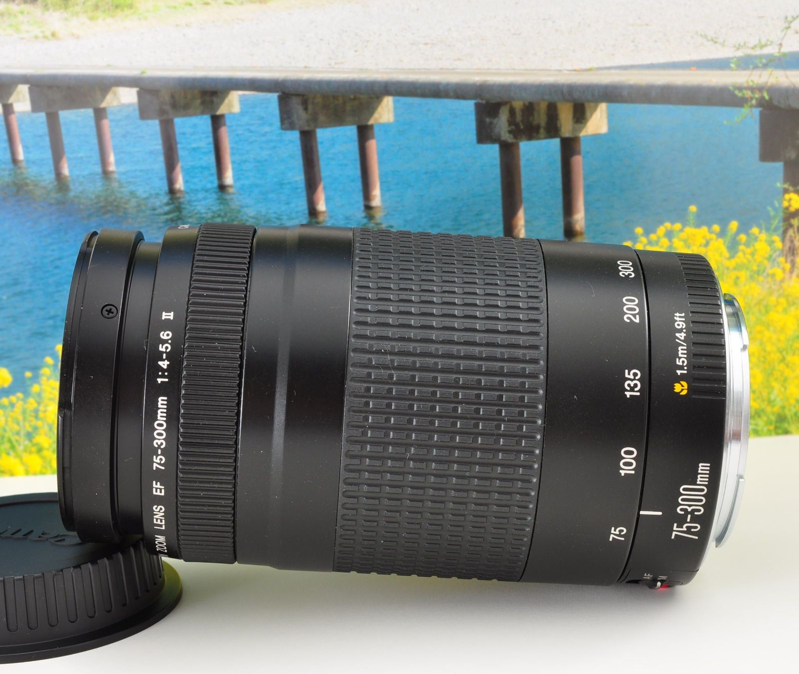 キヤノン EF 75-300mm 軽量望遠ズームレンズ 運動会 旅行 ポートレート