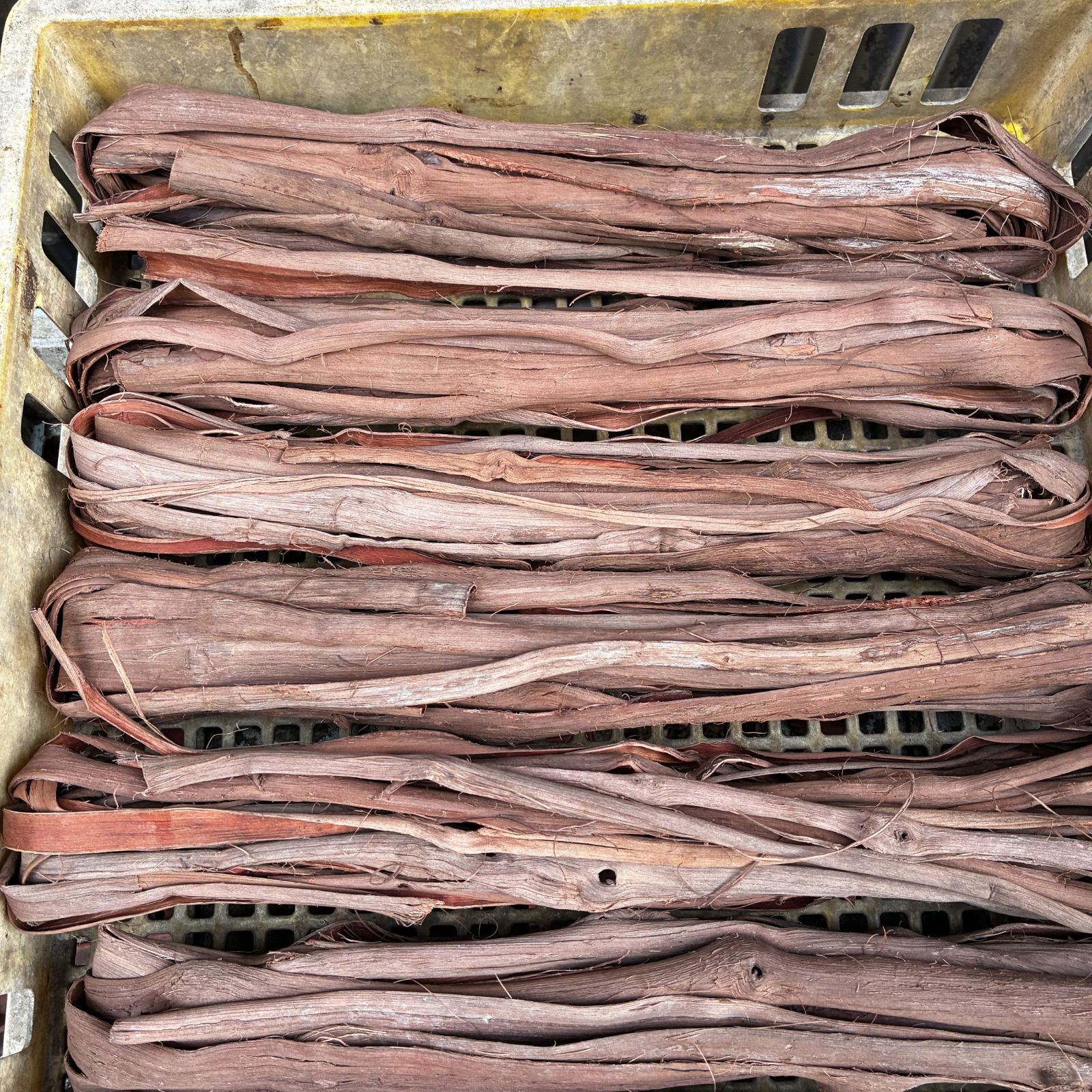 sadoshiページ 235/55 R18 2023年製４本中２本 sadoshi様専用ページ 235/55 R18 2023年製4本中2本 タイヤ