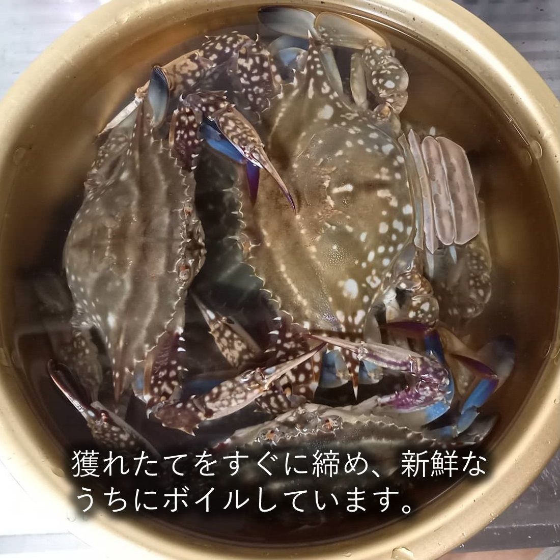 三陸産ワタリガニ ボイル済み冷凍4kg ケジャンやチゲ、鍋用としても大人気の商品