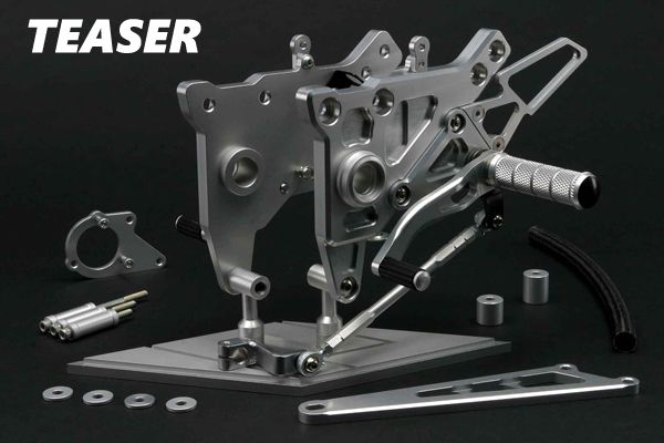 【専用品】 TEASER（ティ―ザ―）[A4E1S]ステップ【SI】GPZ900R/750R《全年式》 リア