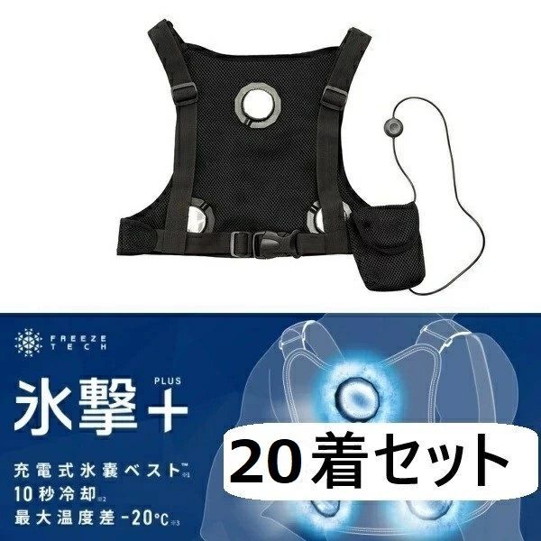 超貴重】LAREINE 2ND demo先行配布限定ジャケ KAMIJO 超貴重セット