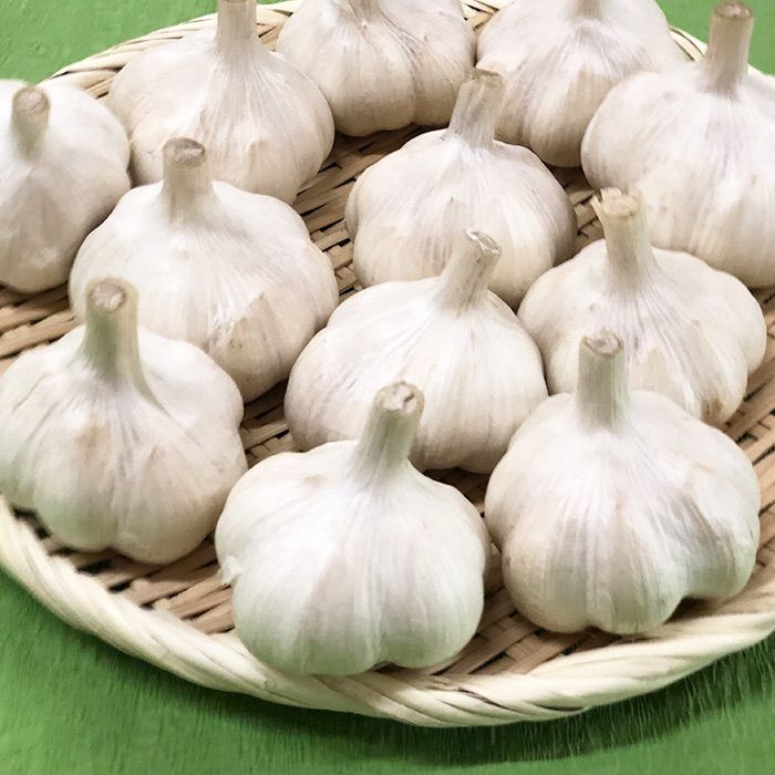 最上級品】青森県倉石産にんにく福地ホワイト六片種2Lサイズ 5kg