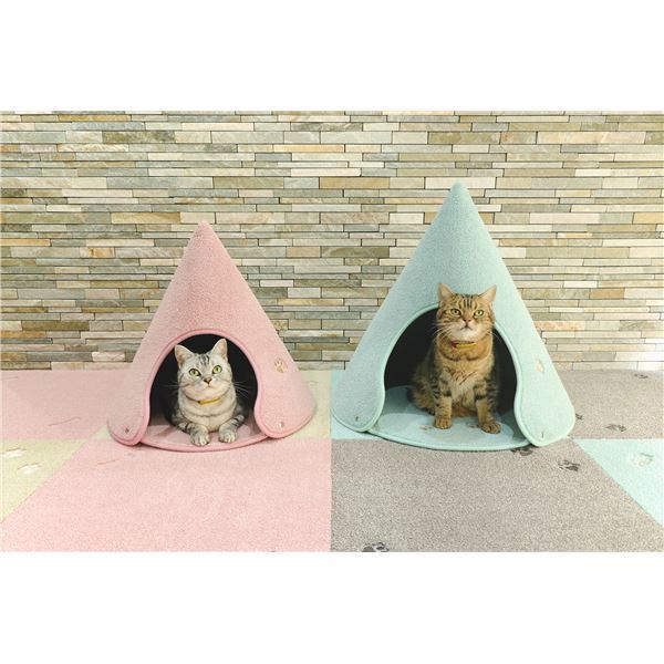 ラグタスコーン MBL