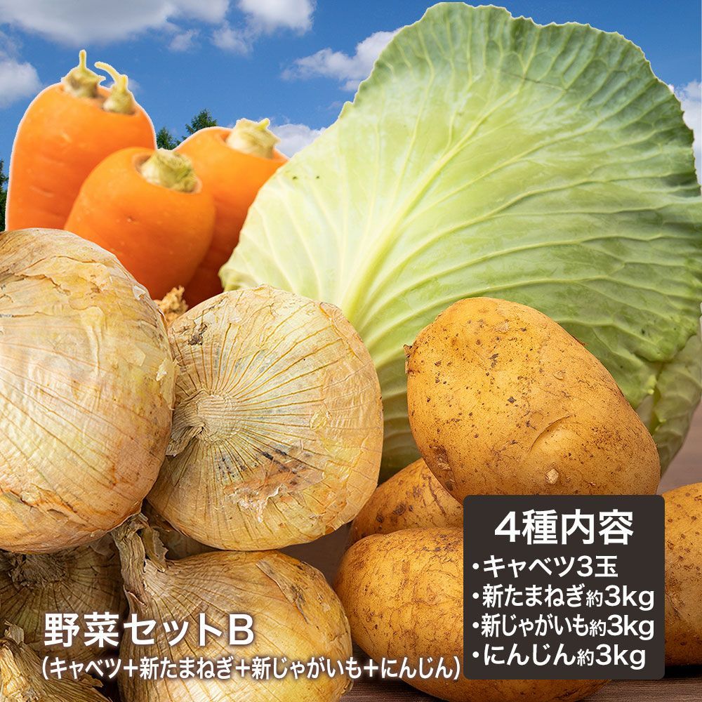 野菜セットB キャベツ3玉 新たまねぎ 新じゃがいも にんじん約3kg 4種セット きゃべつ 玉ねぎ ポテト 人参 定番 万能 おうちごはん おうち時間 ご家庭用 大量 おためし