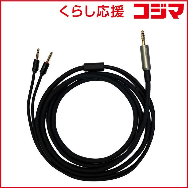 FOSTEX ヘッドホンケーブル TH910 TH919用4.4mmバランスケーブル ET-TH4.4BL2Y