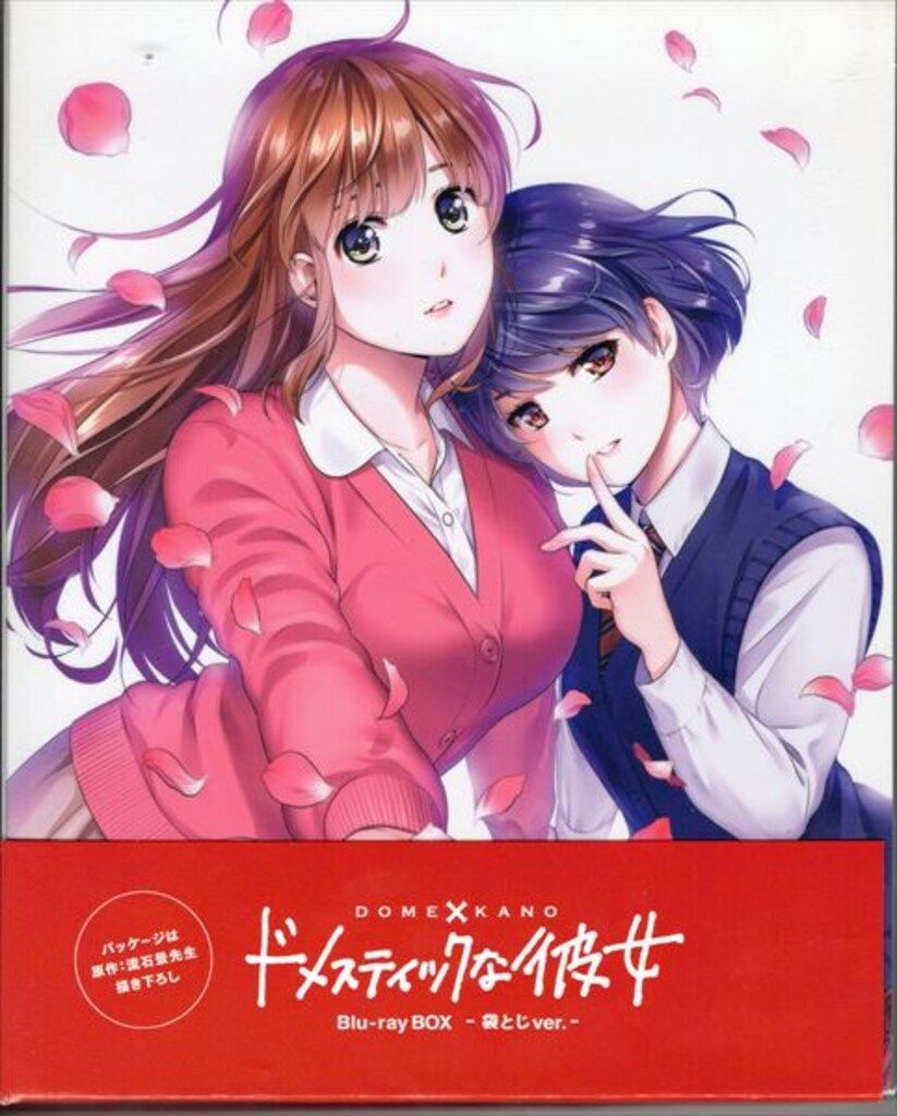 アニメBlu-ray ドメスティックな彼女 Blu-ray BOX 袋とじver