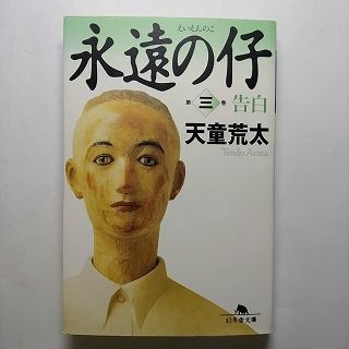 永遠の仔 ３ 幻冬舎 天童荒太 天童荒太 幻冬舎文庫 中古 配送費無料