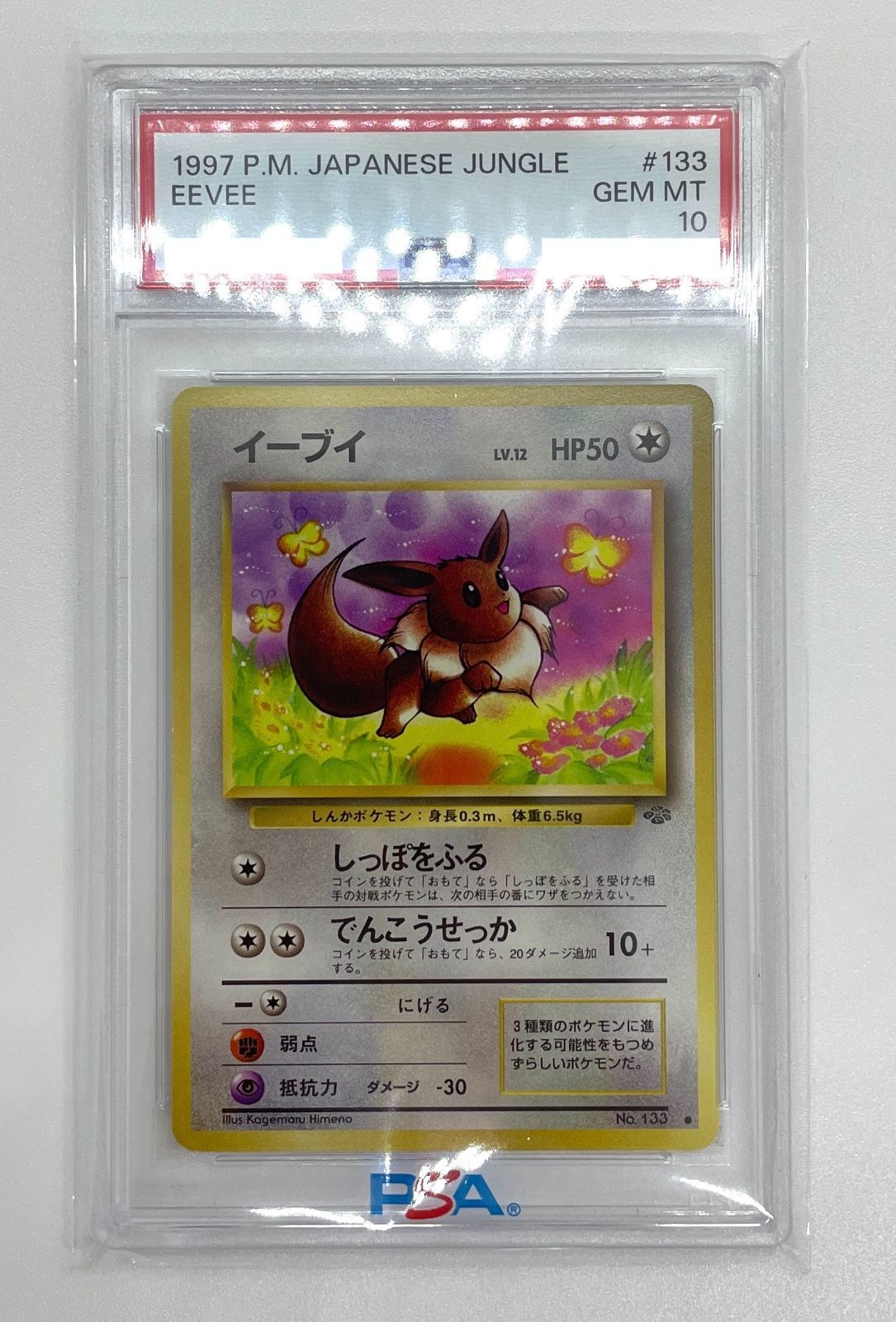 【PSA10】 イーブイ 旧裏 ポケモンジャングル ポケモンカード旧裏 イーブイ PSA10 ポケモンカードゲーム第2弾