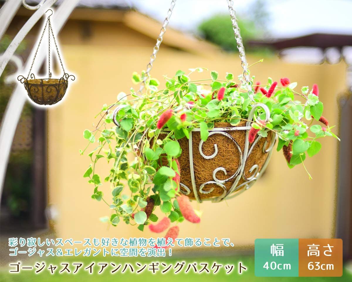 プランター アンティークホワイト