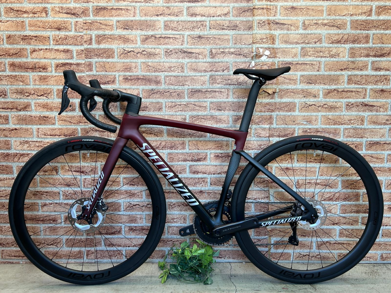 西濃運輸 発送のみ 】テルスポ イチ推し!! 未使用品!! SPECIALIZED 