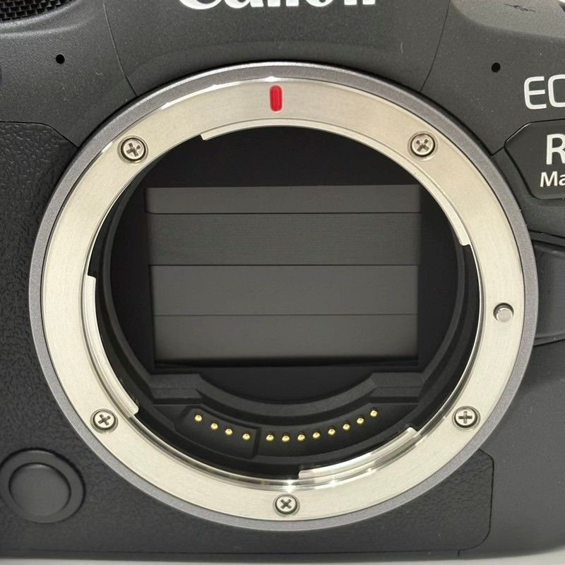 Canon キヤノン ミラーレス一眼カメラ EOS R6 Mark II レンズ