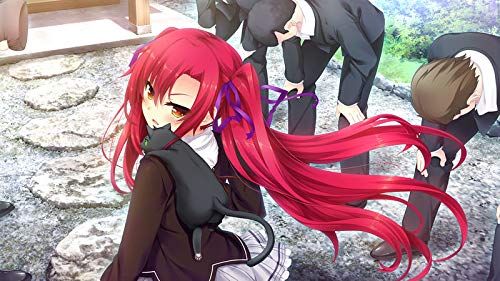 ノラと皇女と野良猫ハート2 - PS4 (【永久封入特典】ChaosTCG PR